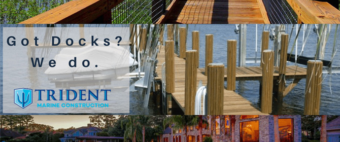 Dock Collage - Trident H2O